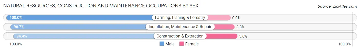 Natural Resources, Construction and Maintenance Occupations by Sex in Zip Code 46064