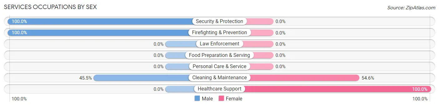 Services Occupations by Sex in Zip Code 46104