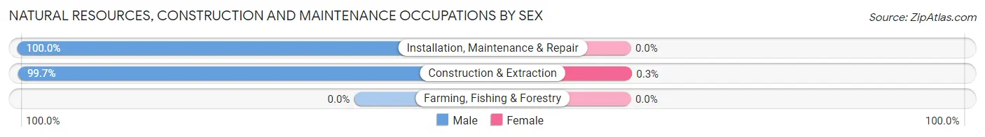 Natural Resources, Construction and Maintenance Occupations by Sex in Zip Code 46160