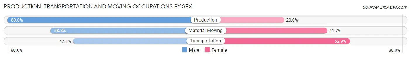Production, Transportation and Moving Occupations by Sex in Zip Code 46175