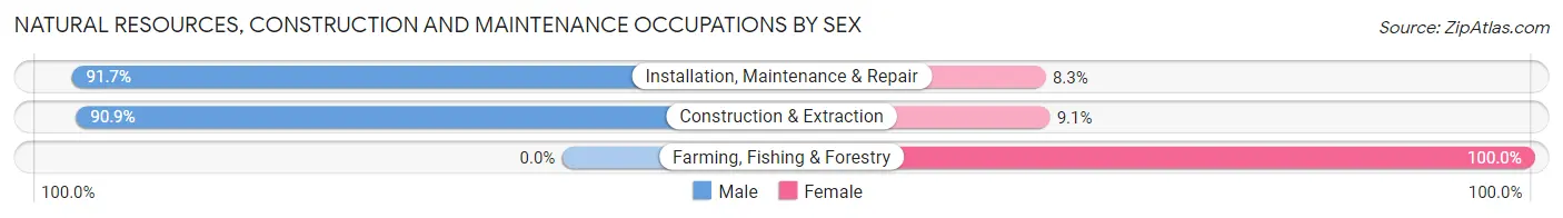 Natural Resources, Construction and Maintenance Occupations by Sex in Zip Code 46220