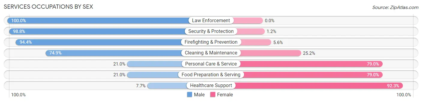 Services Occupations by Sex in Zip Code 46356