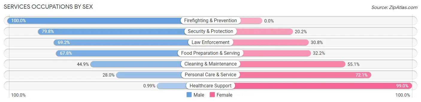 Services Occupations by Sex in Zip Code 46404