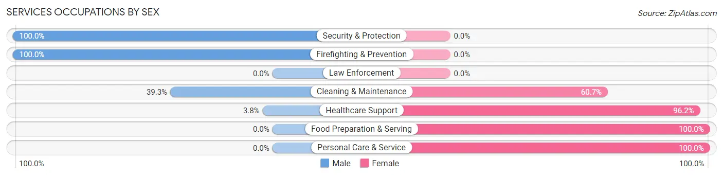 Services Occupations by Sex in Zip Code 46510