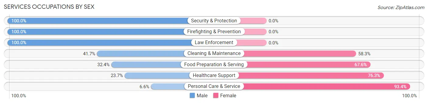 Services Occupations by Sex in Zip Code 46517