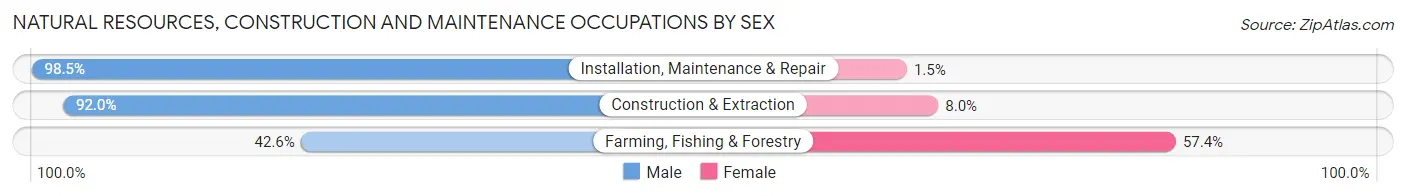 Natural Resources, Construction and Maintenance Occupations by Sex in Zip Code 46563