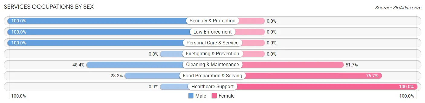 Services Occupations by Sex in Zip Code 46565