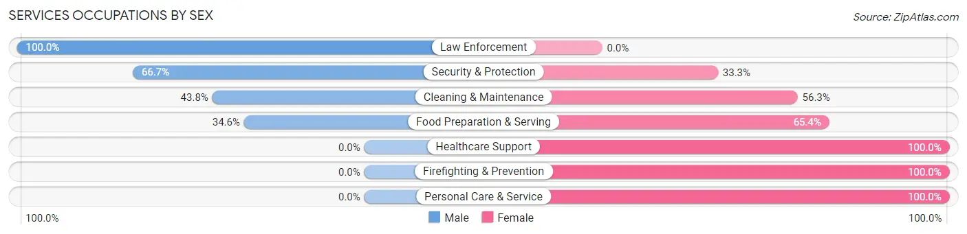Services Occupations by Sex in Zip Code 46702