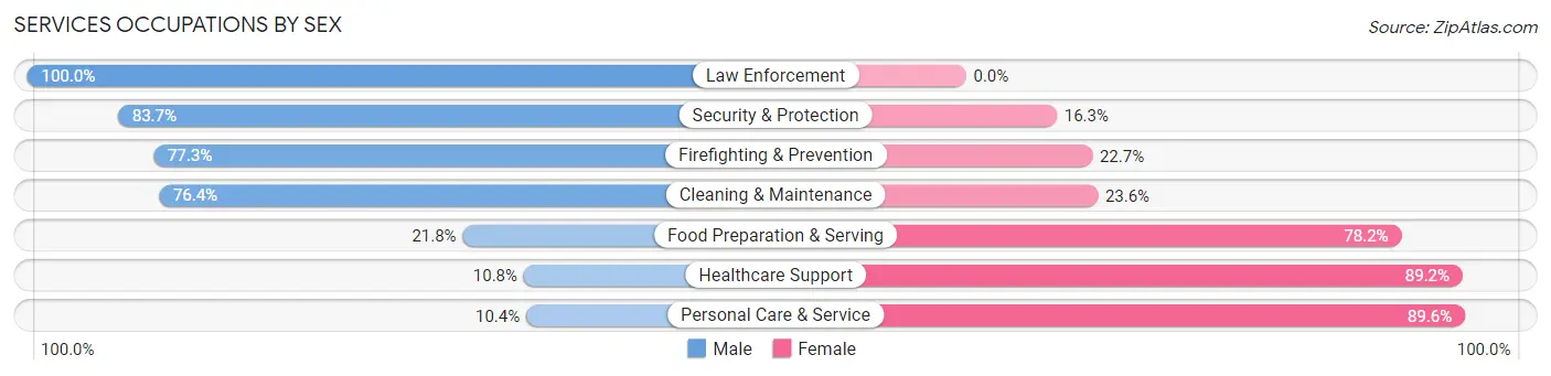 Services Occupations by Sex in Zip Code 46816