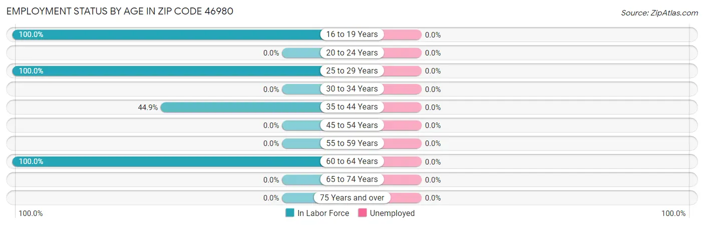 Employment Status by Age in Zip Code 46980