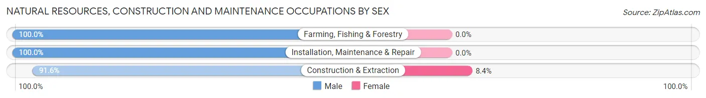 Natural Resources, Construction and Maintenance Occupations by Sex in Zip Code 47170