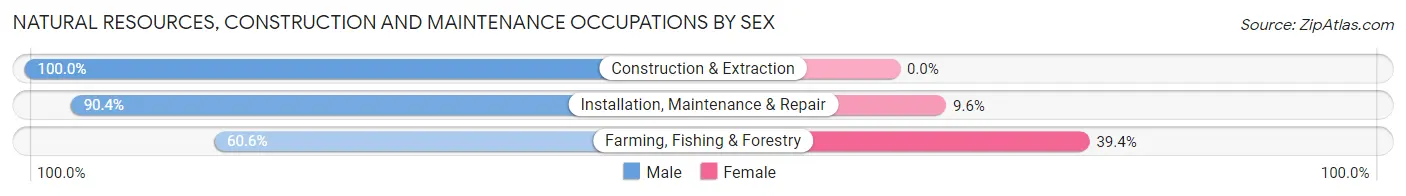 Natural Resources, Construction and Maintenance Occupations by Sex in Zip Code 47348