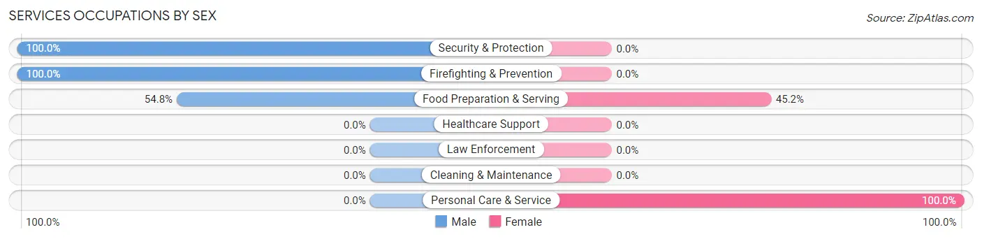 Services Occupations by Sex in Zip Code 47405
