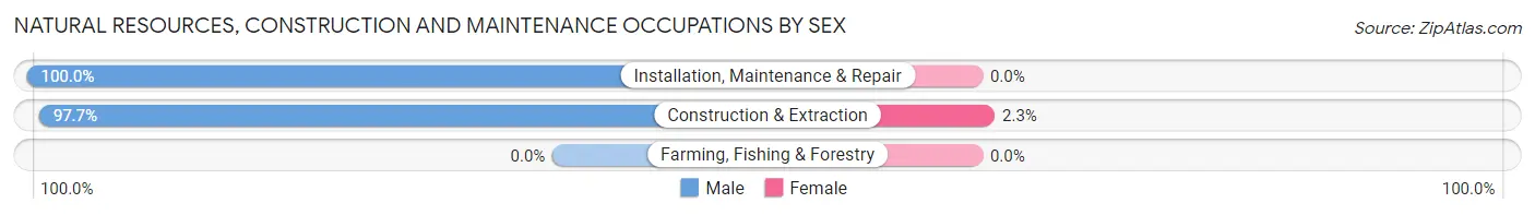 Natural Resources, Construction and Maintenance Occupations by Sex in Zip Code 47438