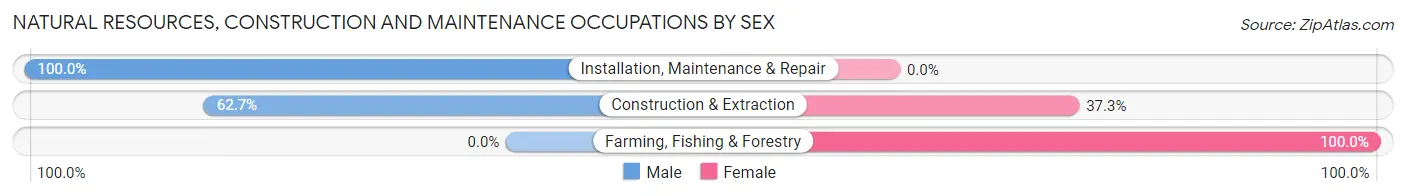 Natural Resources, Construction and Maintenance Occupations by Sex in Zip Code 47666