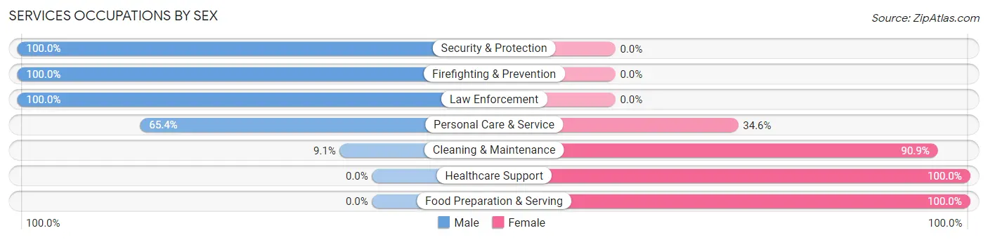 Services Occupations by Sex in Zip Code 47859