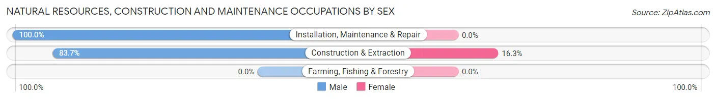 Natural Resources, Construction and Maintenance Occupations by Sex in Zip Code 48039
