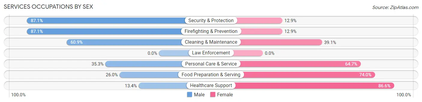 Services Occupations by Sex in Zip Code 48104