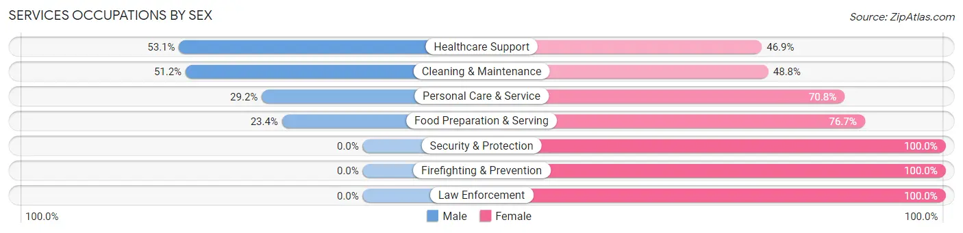 Services Occupations by Sex in Zip Code 48109