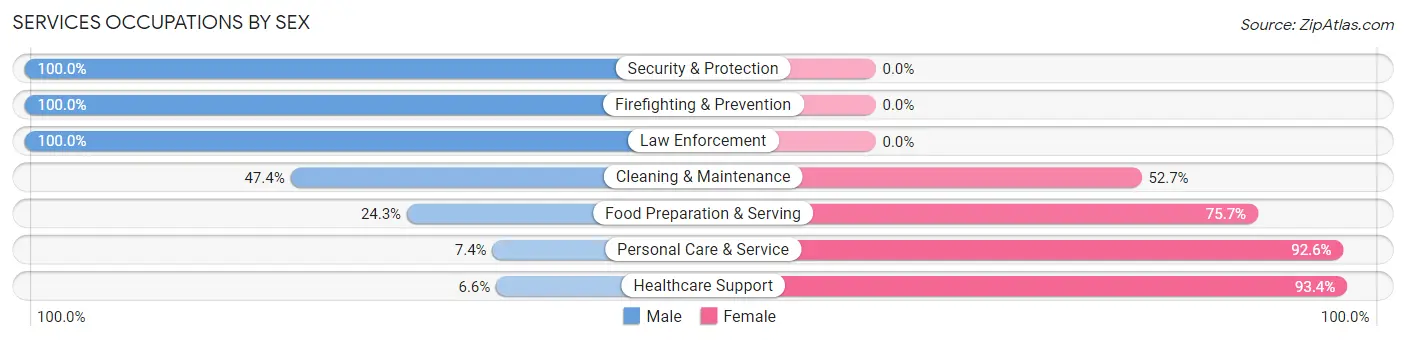 Services Occupations by Sex in Zip Code 48125