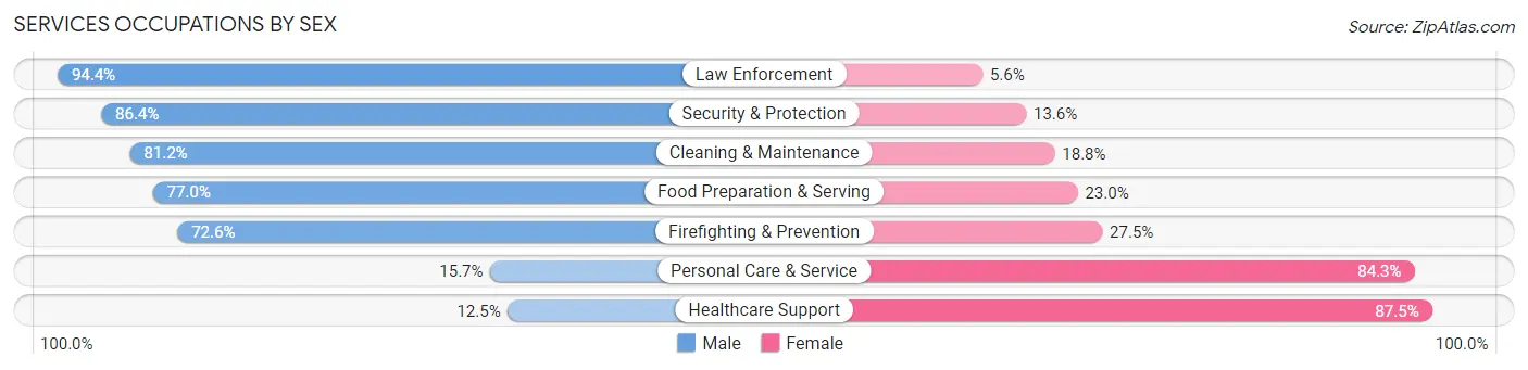 Services Occupations by Sex in Zip Code 48176