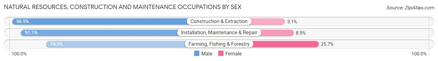 Natural Resources, Construction and Maintenance Occupations by Sex in Zip Code 48197
