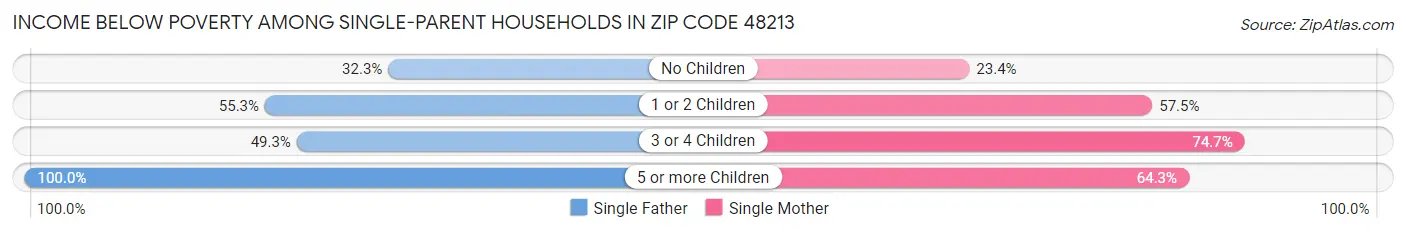 Income Below Poverty Among Single-Parent Households in Zip Code 48213