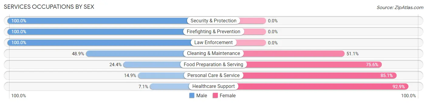 Services Occupations by Sex in Zip Code 48383