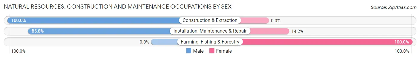 Natural Resources, Construction and Maintenance Occupations by Sex in Zip Code 48386