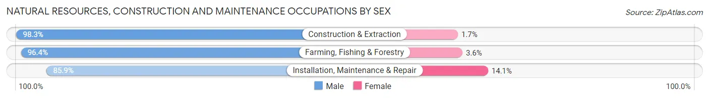 Natural Resources, Construction and Maintenance Occupations by Sex in Zip Code 48416