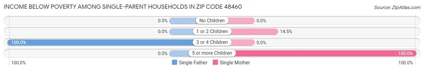 Income Below Poverty Among Single-Parent Households in Zip Code 48460
