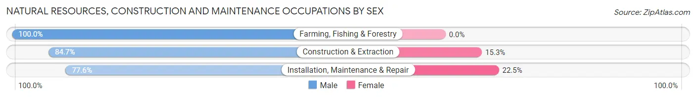 Natural Resources, Construction and Maintenance Occupations by Sex in Zip Code 48610