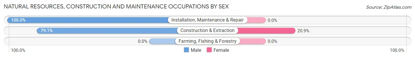 Natural Resources, Construction and Maintenance Occupations by Sex in Zip Code 48638