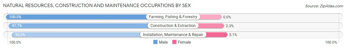 Natural Resources, Construction and Maintenance Occupations by Sex in Zip Code 48642