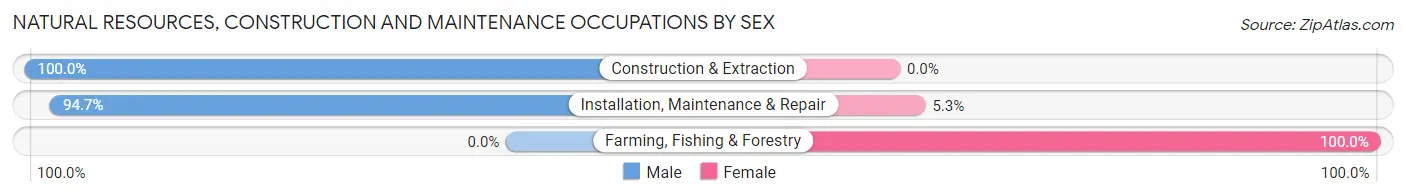 Natural Resources, Construction and Maintenance Occupations by Sex in Zip Code 48744