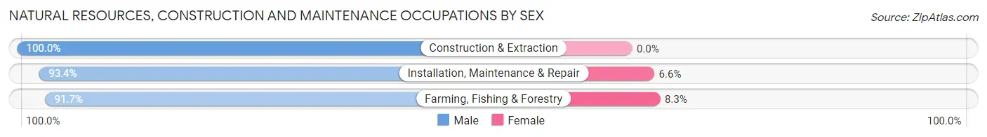 Natural Resources, Construction and Maintenance Occupations by Sex in Zip Code 48811