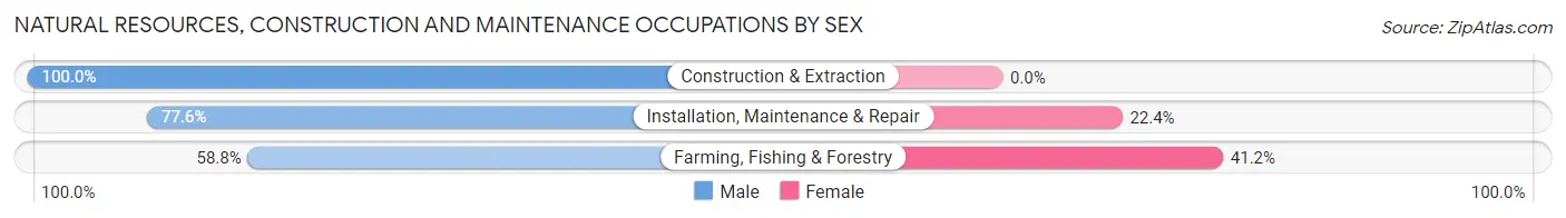 Natural Resources, Construction and Maintenance Occupations by Sex in Zip Code 48825