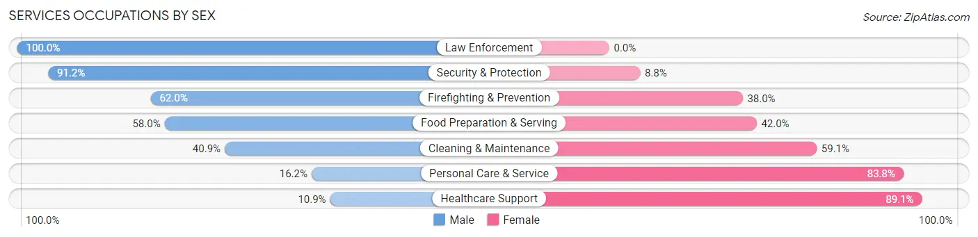 Services Occupations by Sex in Zip Code 48854