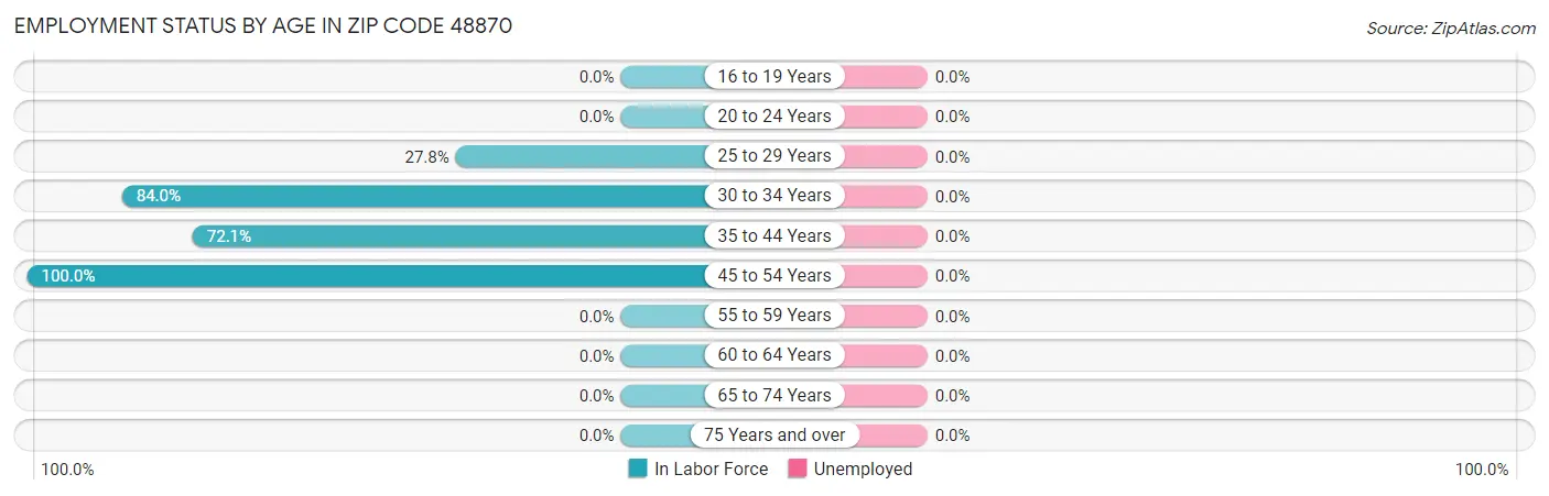 Employment Status by Age in Zip Code 48870