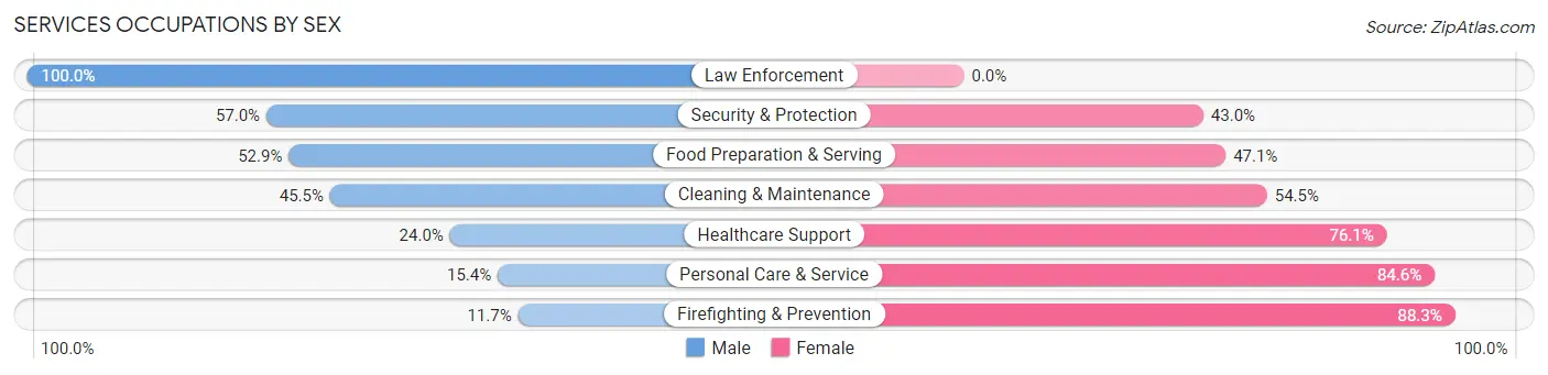 Services Occupations by Sex in Zip Code 48912