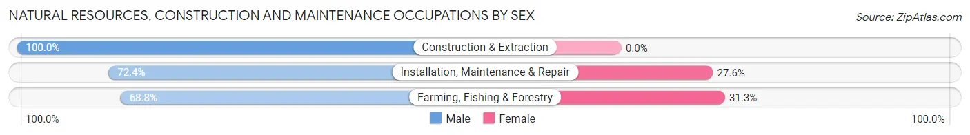 Natural Resources, Construction and Maintenance Occupations by Sex in Zip Code 49024
