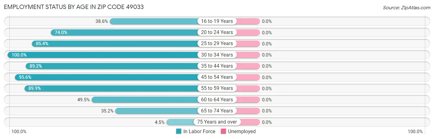 Employment Status by Age in Zip Code 49033