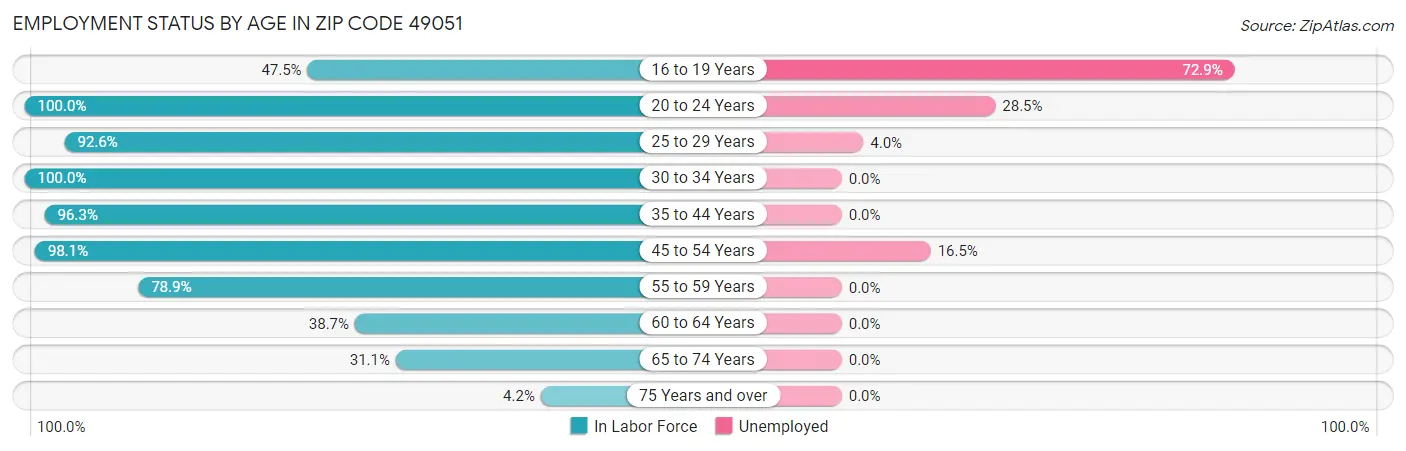 Employment Status by Age in Zip Code 49051