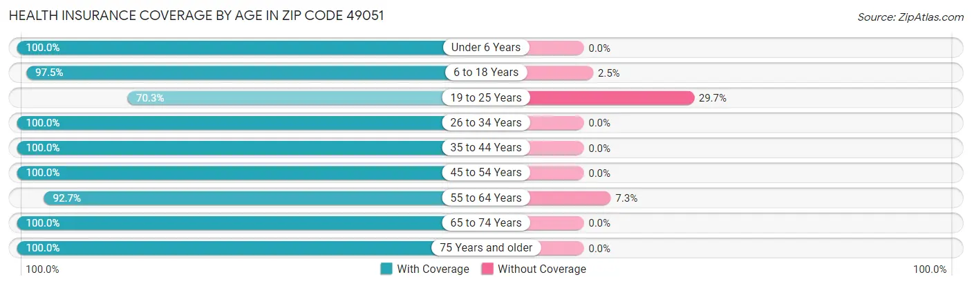 Health Insurance Coverage by Age in Zip Code 49051