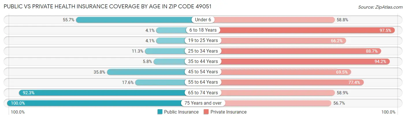 Public vs Private Health Insurance Coverage by Age in Zip Code 49051