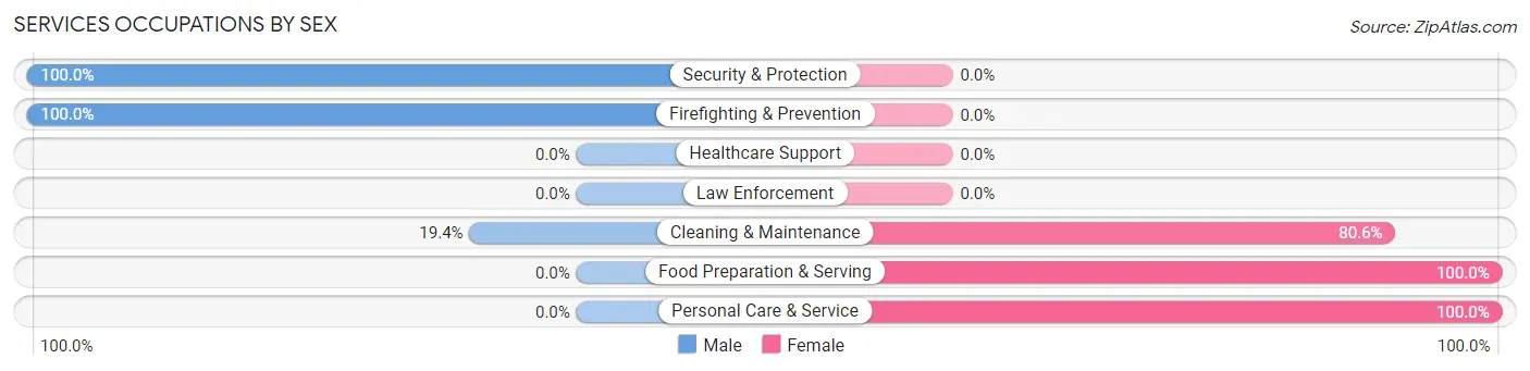 Services Occupations by Sex in Zip Code 49051