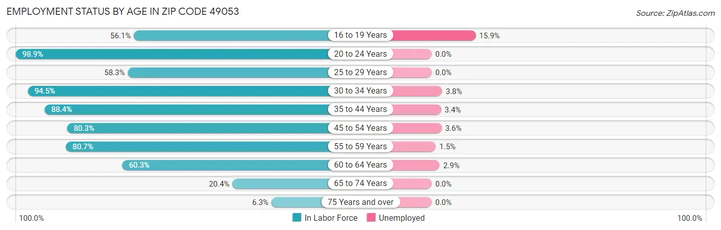 Employment Status by Age in Zip Code 49053
