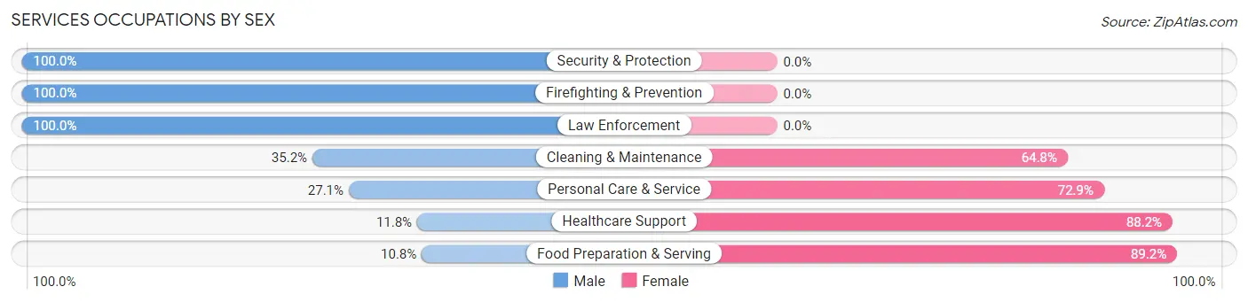 Services Occupations by Sex in Zip Code 49057