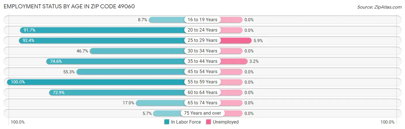 Employment Status by Age in Zip Code 49060