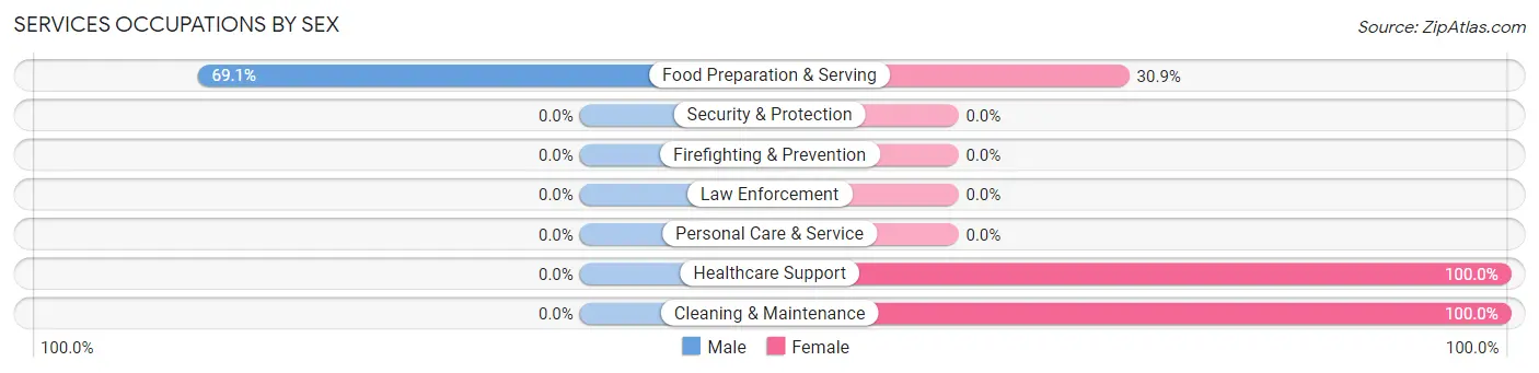 Services Occupations by Sex in Zip Code 49060